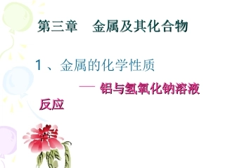 铝与氢氧化钠溶液反应(新)