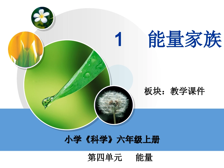 能量家族课件_第2页