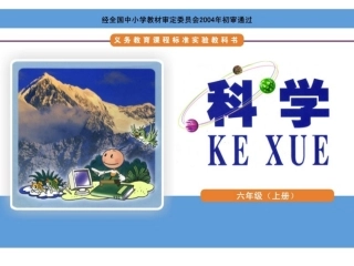 能量家族课件