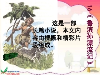 鲁滨孙漂流记页