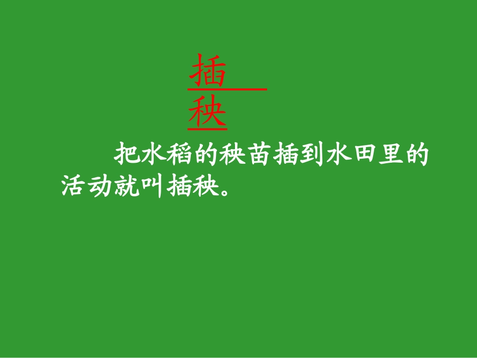 《插秧》课件(北师大版小学语文一年级下册课件)_第3页