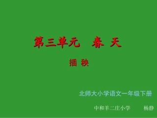 《插秧》课件(北师大版小学语文一年级下册课件)