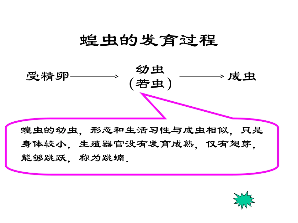 昆虫的生殖和发育_第1页