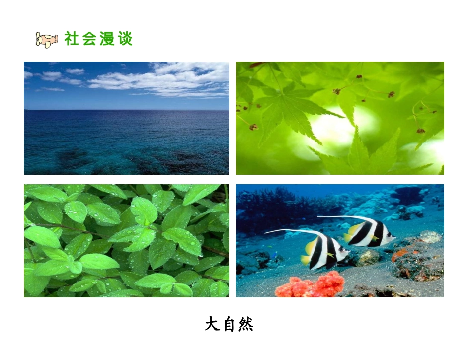 我们能为地球做什么PPT_第3页