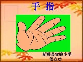 《手指》课件