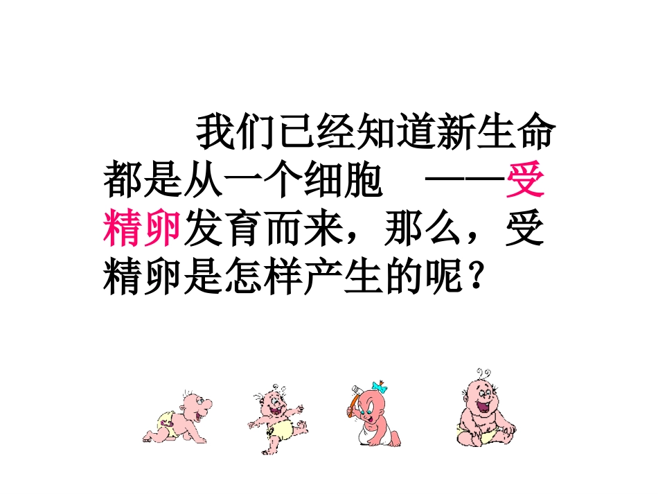 新生命的诞生上课_第2页