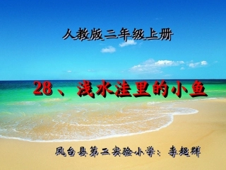 李超群浅水洼里的小鱼使用
