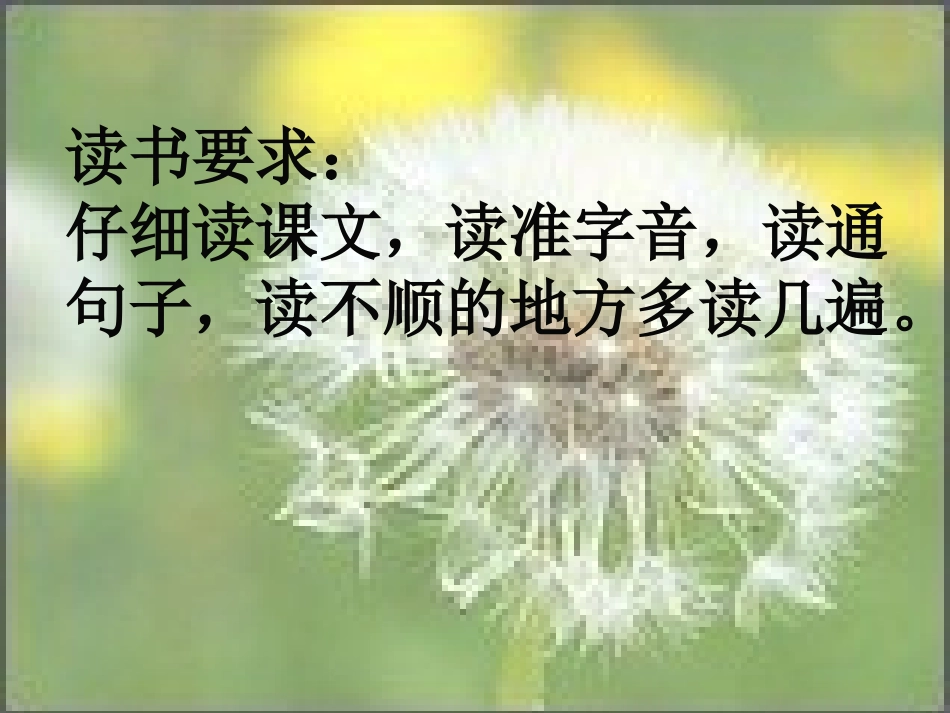 番茄太阳课件_第2页