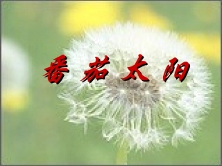番茄太阳课件