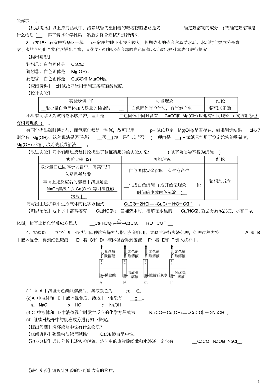 河北九年级化学下册专题复习四试验探究题习题新版新人教版_第2页