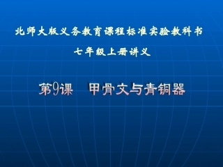 甲骨文与青铜器