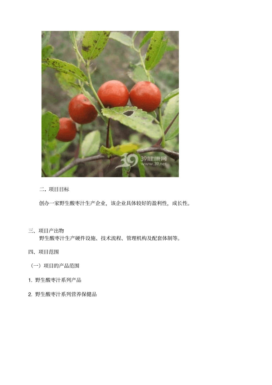 河北分中心项目管理学班级讨论总结_第2页