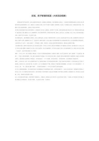 区域，孩子智慧的摇篮（大班活动观察）