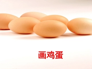 《画鸡蛋》教学课件
