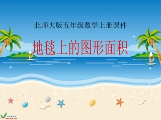 地毯上的图形面积