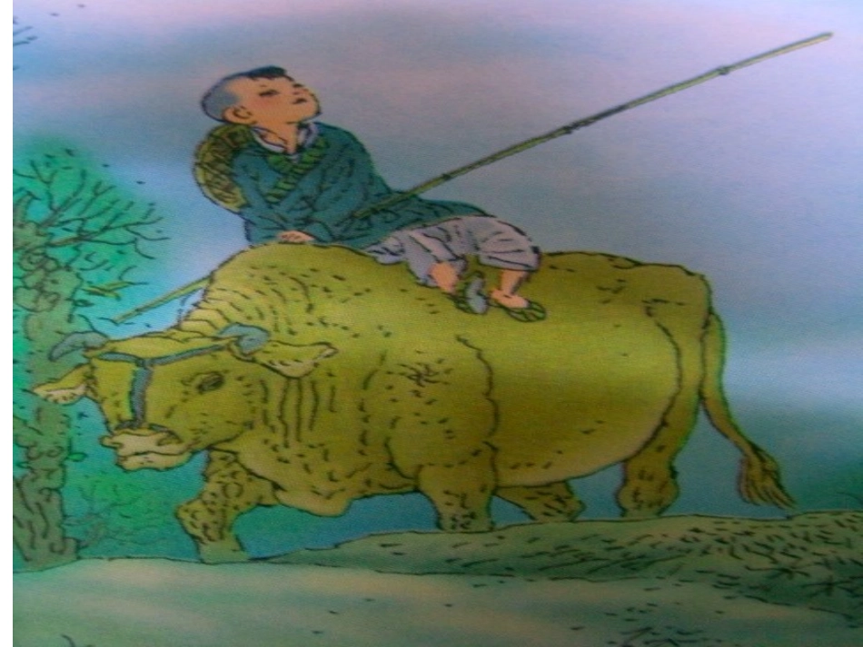 古诗两首所见小池_第3页