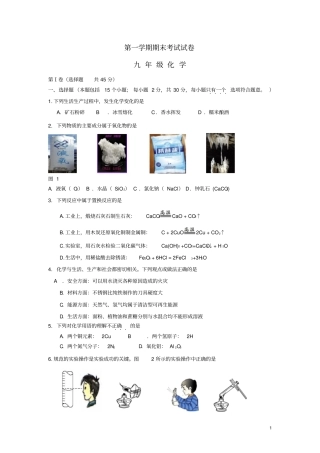 河北石家庄九年级化学上学期期末考试试题无答案