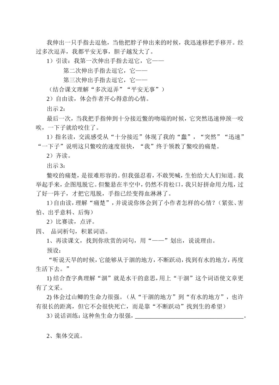 我喜欢小动物_第3页