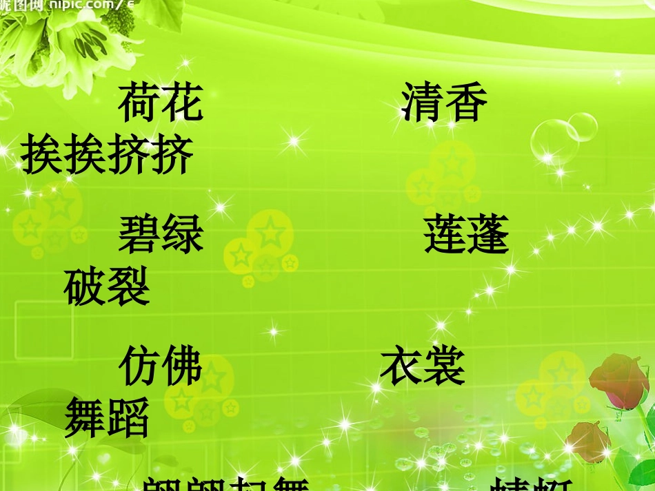 荷花PPT课件_第2页