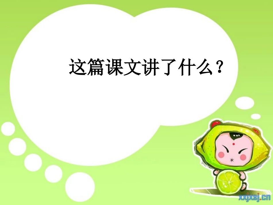 荷花PPT课件_第3页