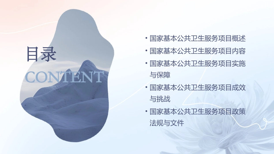 国家基本公共卫生服务项目第三版课件_第2页