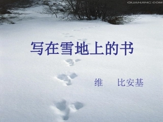写在雪地上的书