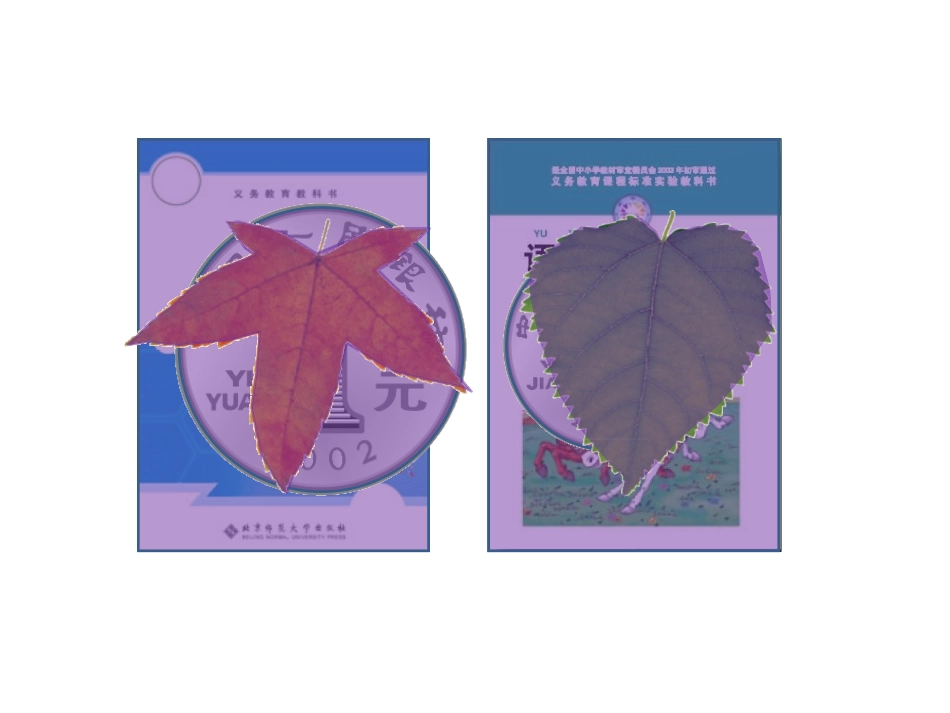 什么是面积 (3)_第2页