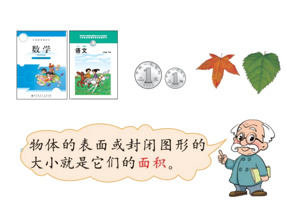 什么是面积 (3)_第3页