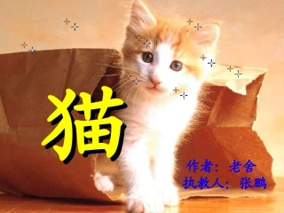 老舍《猫》课件(26页)