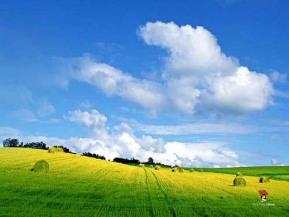 二年级（下）语文《16世界上最美的是什么》课件_第2页