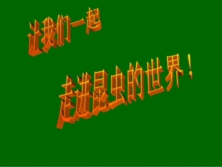 《绿色蝈蝈》课件02