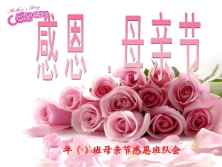 母亲节主题班会课件2