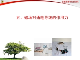 五、磁场对通电导线的作用力