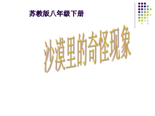 沙漠里的奇怪现象 (2)