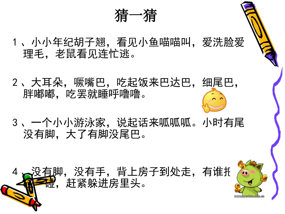 我喜欢的小动物_第3页