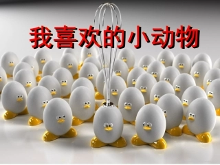 我喜欢的小动物