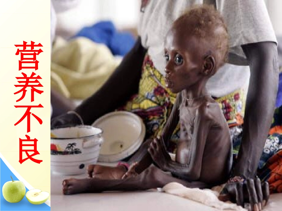 生物公开课_合理营养与食品安全_第2页