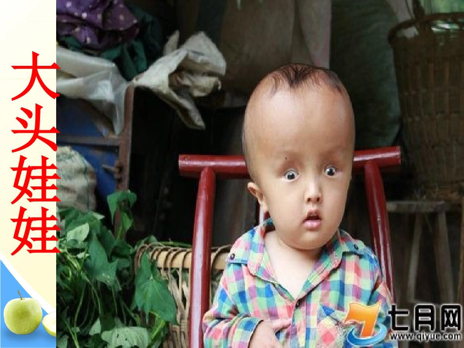 生物公开课_合理营养与食品安全_第3页