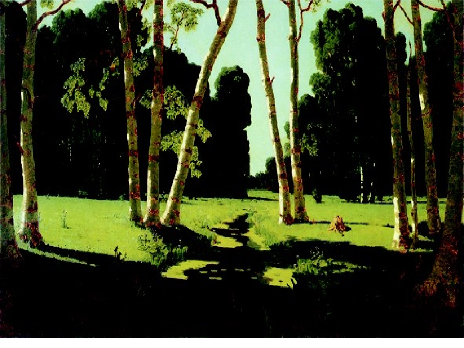 认识身边的树_第1页