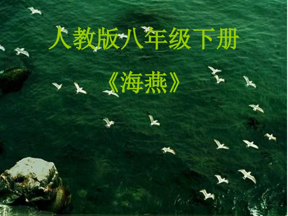 海燕 (2)_第1页