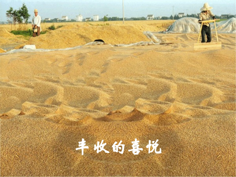 圆锥的体积（定稿）_第2页