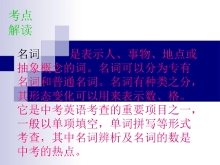 专题复习-名词