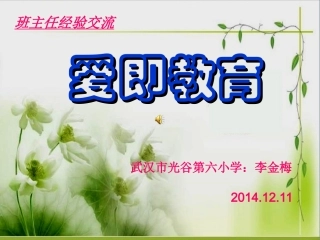 李金梅班主任交流课件