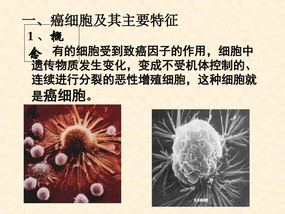 细胞的癌变 (2)_第3页