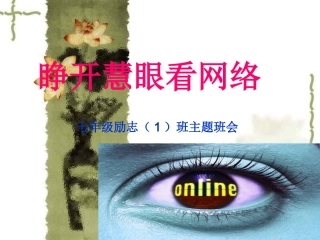 睁开慧眼看网络主题班会