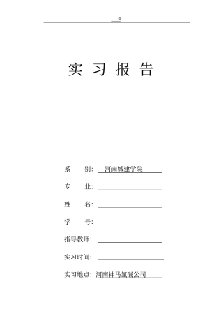 河南神马化工公司实习报告