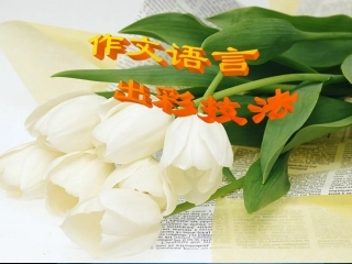 作文语言出彩技法