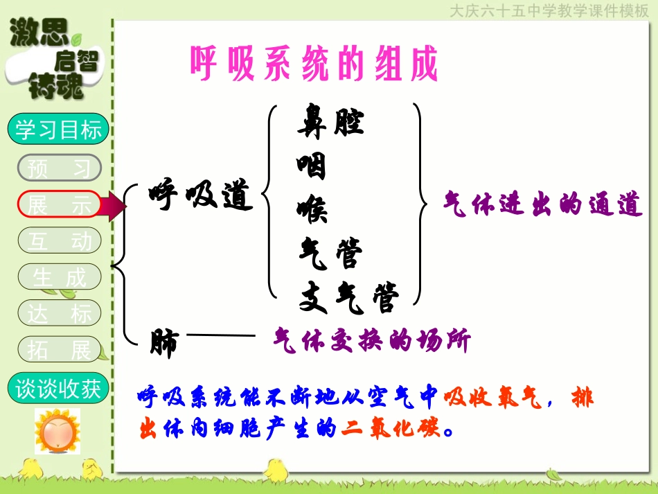 人体和外界环境的气体交换 (2)_第3页