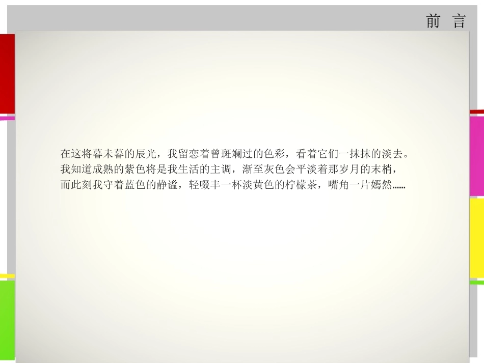 锐普PPT模板-时尚四彩（动画）_第2页