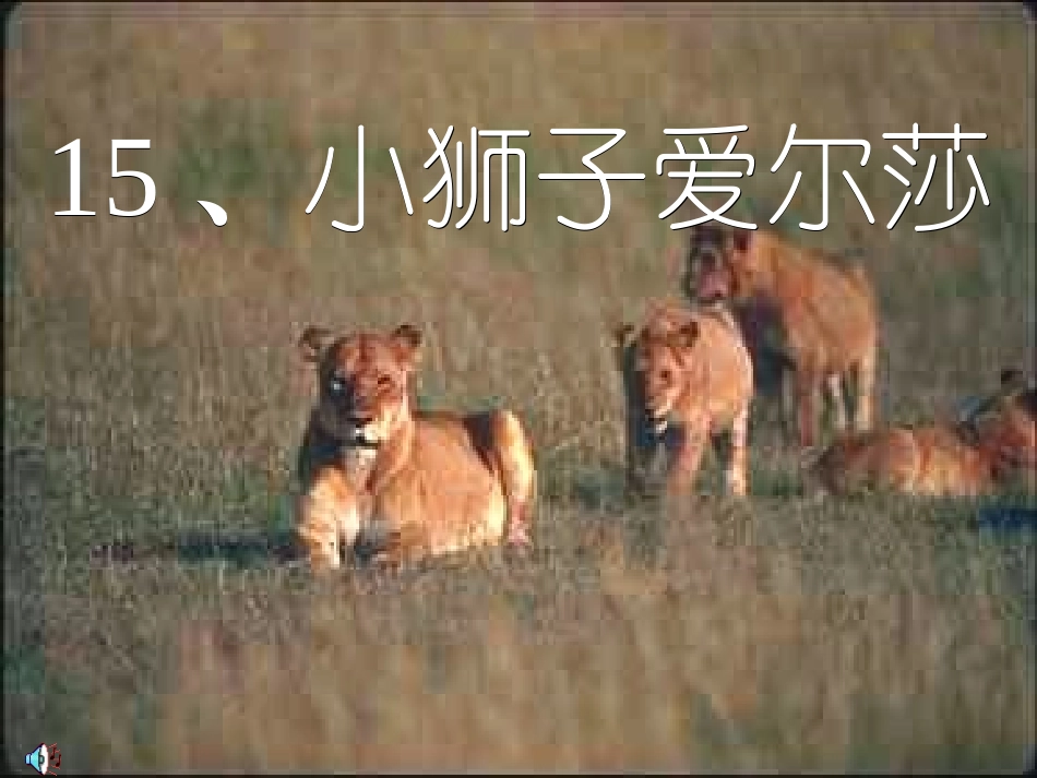 小狮子爱尔莎_第1页